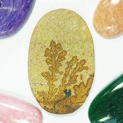 Psilomelane Dendrite